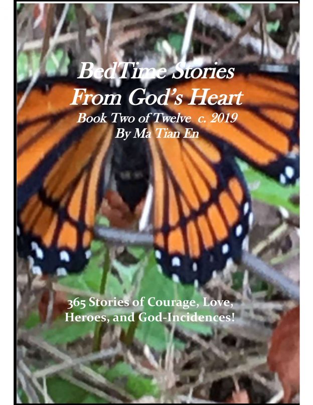 BedTime Stories From God's Heart Book 2